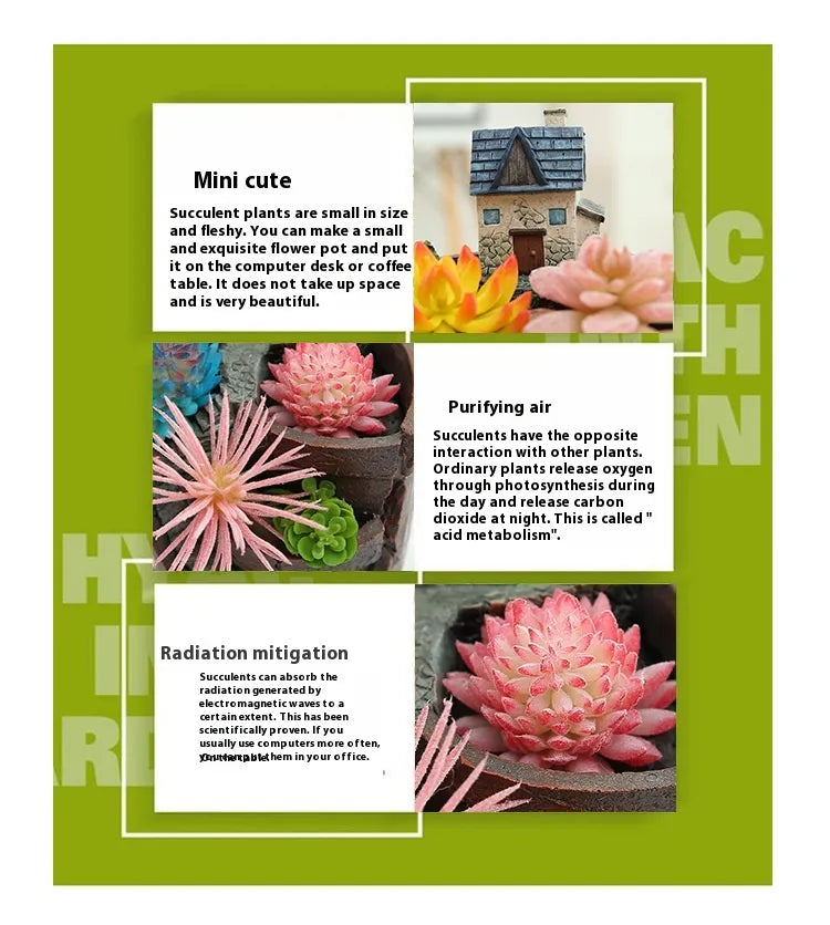 Succulent Decorative Flower Pot for Mini Garden - Bonsai Plant Pot for Micro Landscape and Garden