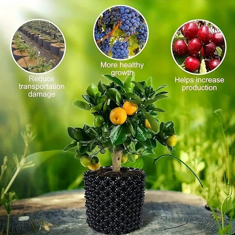 Root Control Device for Plants and Landscaping to Promote Healthy Growth