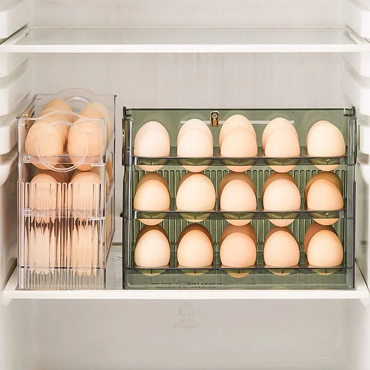 Practical Egg Organiser