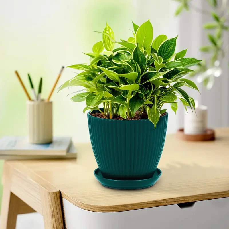 Flower Pot with Grooved Structure and Saucer - Sturdy Plastic Pot for Plants