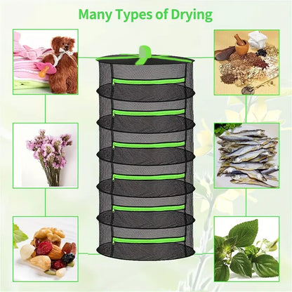 Foldable Drying Basket For Fruit  Vegetables And Herbs - Multi - Level Mesh Shelf For Quick Drying Process