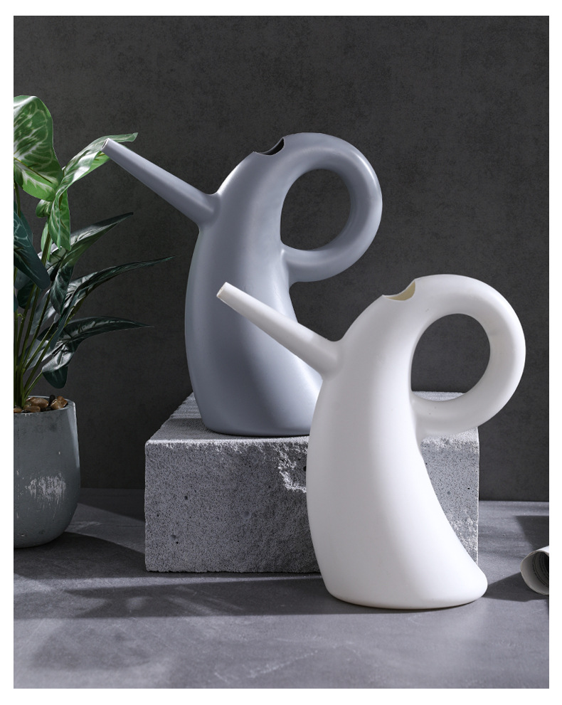 Pouring Basin with Extended Spout - Elegant Design for Precise Watering