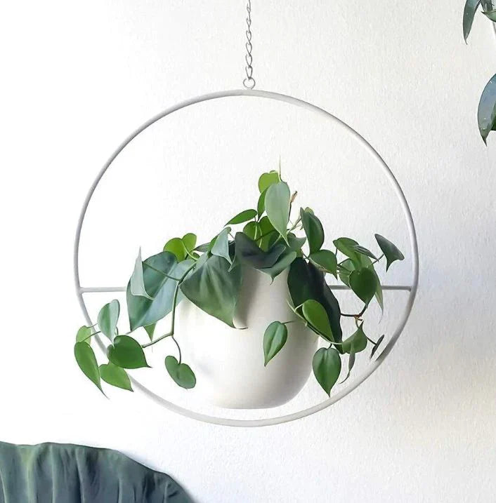 Elegant Plant Holder for Indoors and Outdoors