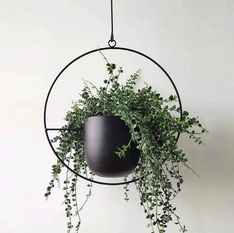 Elegant Plant Holder for Indoors and Outdoors