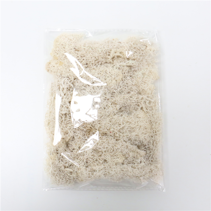 Artificial Moss for Landscaping - Moss and Flowers for Decoration and Floristry