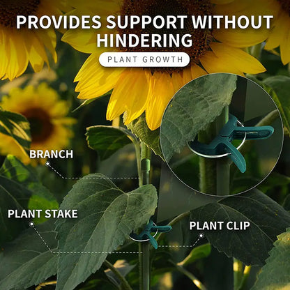 Garden Clip Set - Plant Loops for Plant Supports and Garden Maintenance