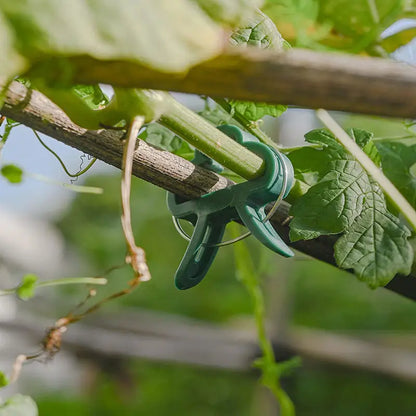 Garden Clip Set - Plant Loops for Plant Supports and Garden Maintenance