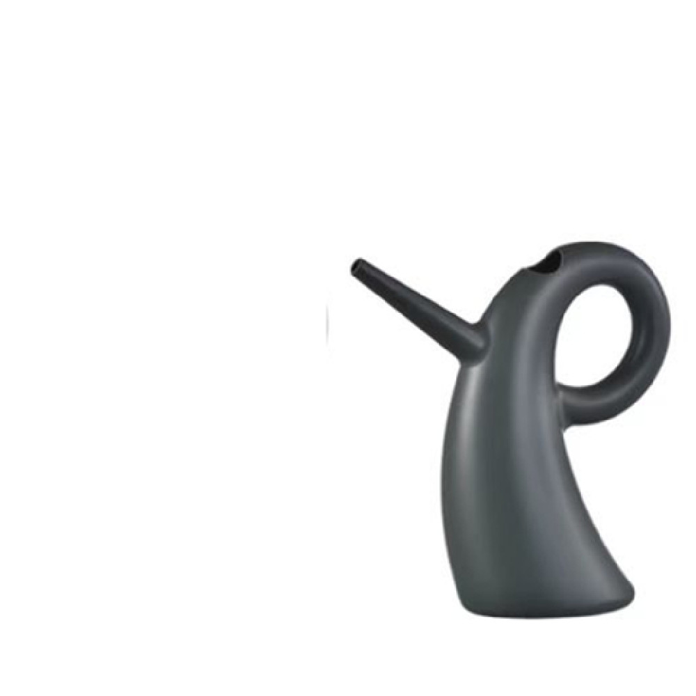 Pouring Basin with Extended Spout - Elegant Design for Precise Watering