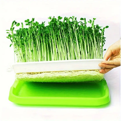 Germination Trays with Lid - Double - Layer Seed Tray for Effective Seed Germination