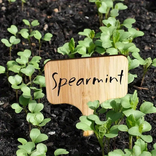 Wooden Plant Labels for Garden and Balcony - Rewritable Labels for Herbs and Plants
