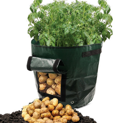 Planting Bag for Potatoes - Reusable and with Viewing Window