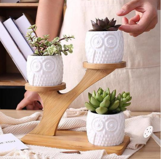 Decorative Wooden Plant Stand - Plant Pots in Owl Design for Succulents and Houseplants