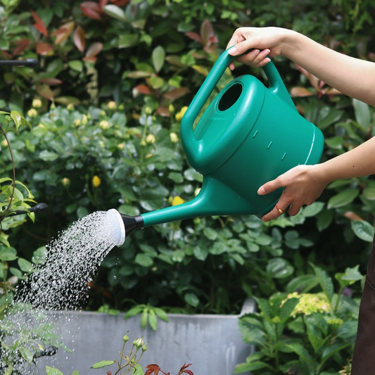 Large - Volume Watering Can with Long Spout - Plastic for Garden Maintenance