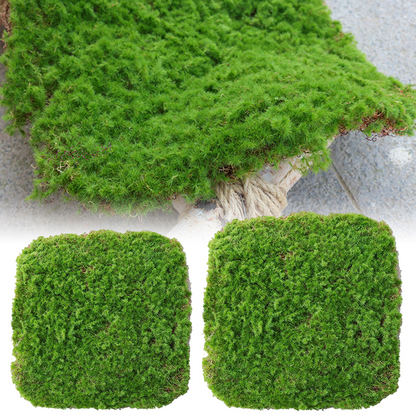 Moss Cover Piece - Moss Flake Ornament for Decoration and Landscaping