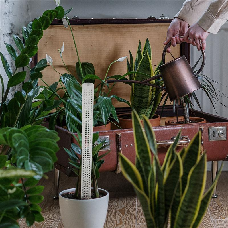 Pillars for Climbing Plants and Green Plants - Support Pillars for Vertical Plant Cultivation