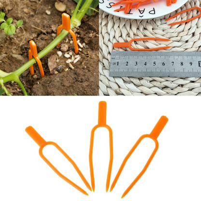 Plastic Garden Plant Support Clamps for Optimum Plant Stability