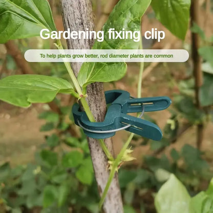 Garden Clip Set - Plant Loops for Plant Supports and Garden Maintenance