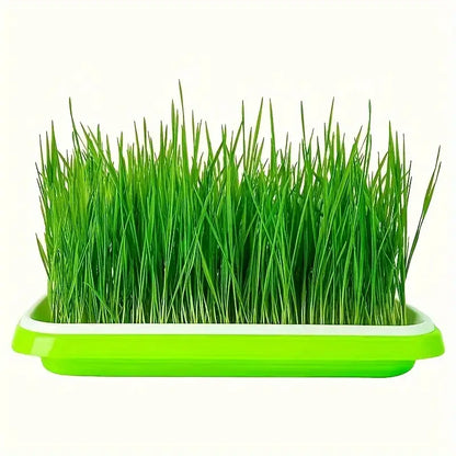 Germination Trays with Lid - Double - Layer Seed Tray for Effective Seed Germination