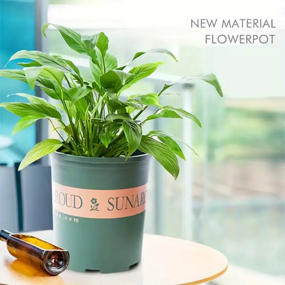 Robust Plastic Plant Pot - Weatherproof Flower Pot for Garden and Balcony