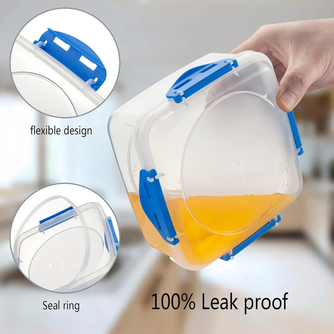 Leakproof Lunch Boxes (Set of 4)
