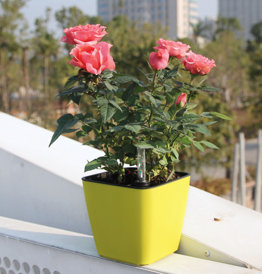 Flower Pot with Irrigation System - Self - Watering Plant Pot for Indoor and Outdoor Use