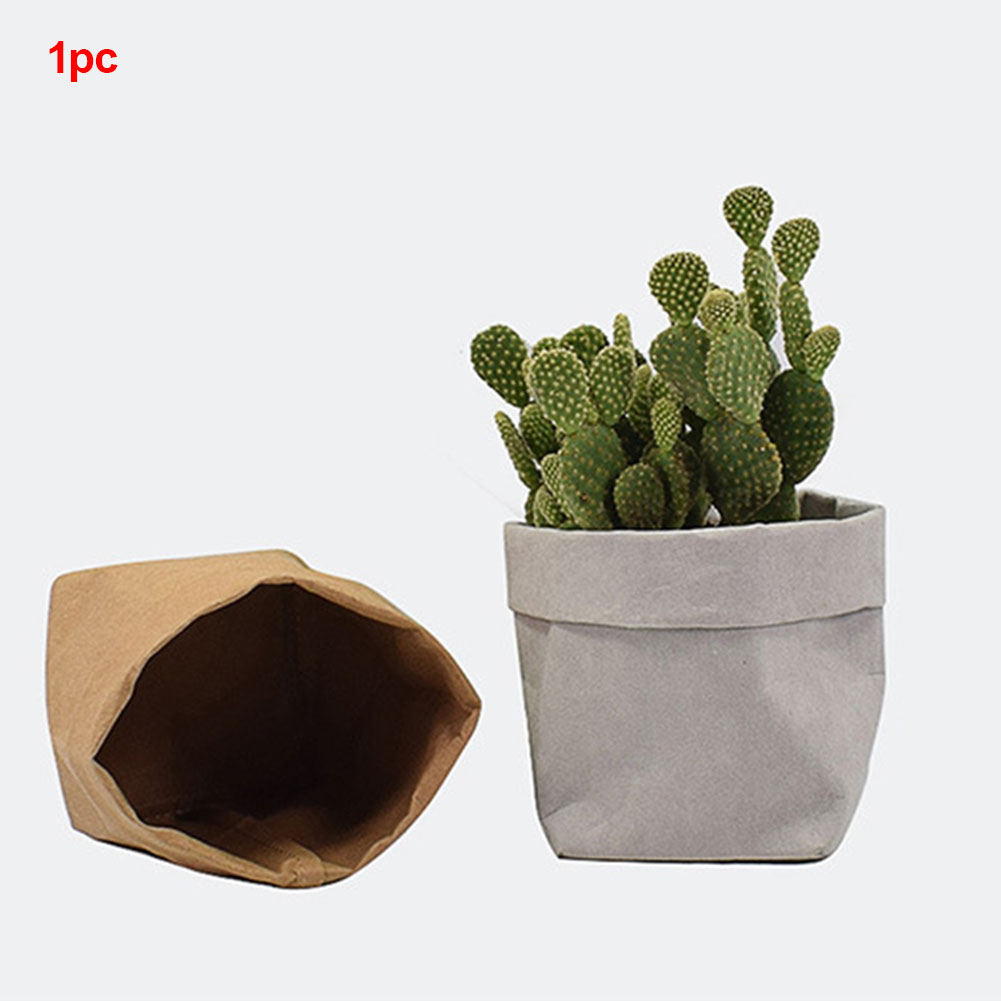 Stylish Paper Planters for Modern Decoration