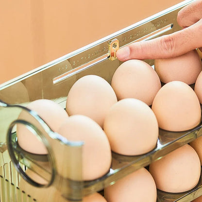 Practical Egg Organiser