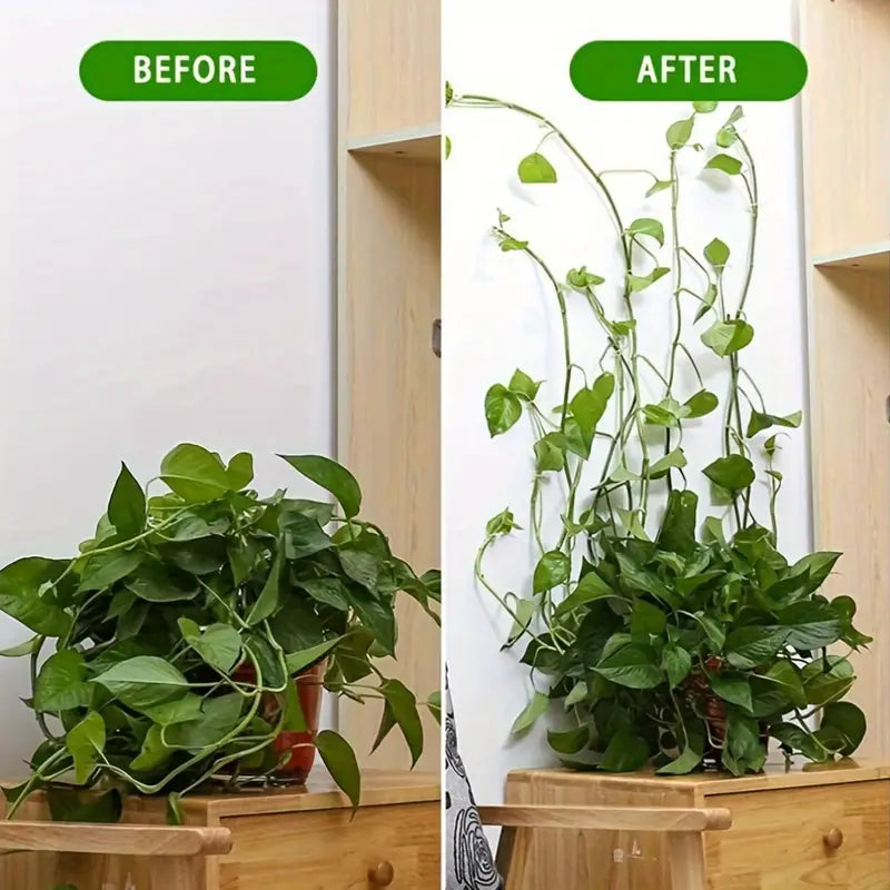 Climbing Wall Fastening Clips - Practical Plant Holders for Wall Decoration