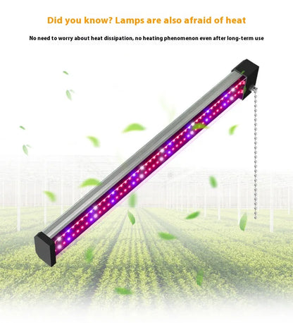 Led Plant Lamp With Full Spectrum Lighting And Pull Switch For Optimum Plant Growth