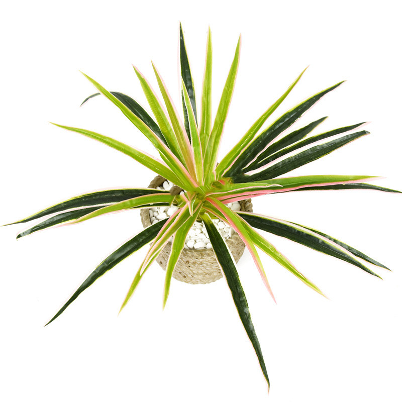 Artificial Grass Plant - Decorative Plant for Home and Office