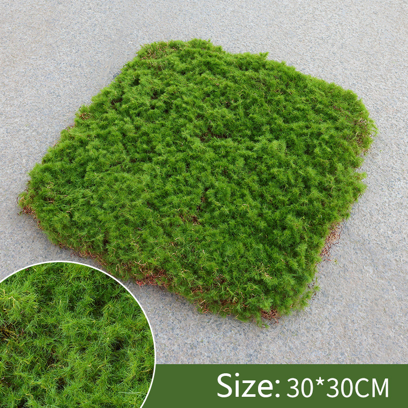Moss Cover Piece - Moss Flake Ornament for Decoration and Landscaping