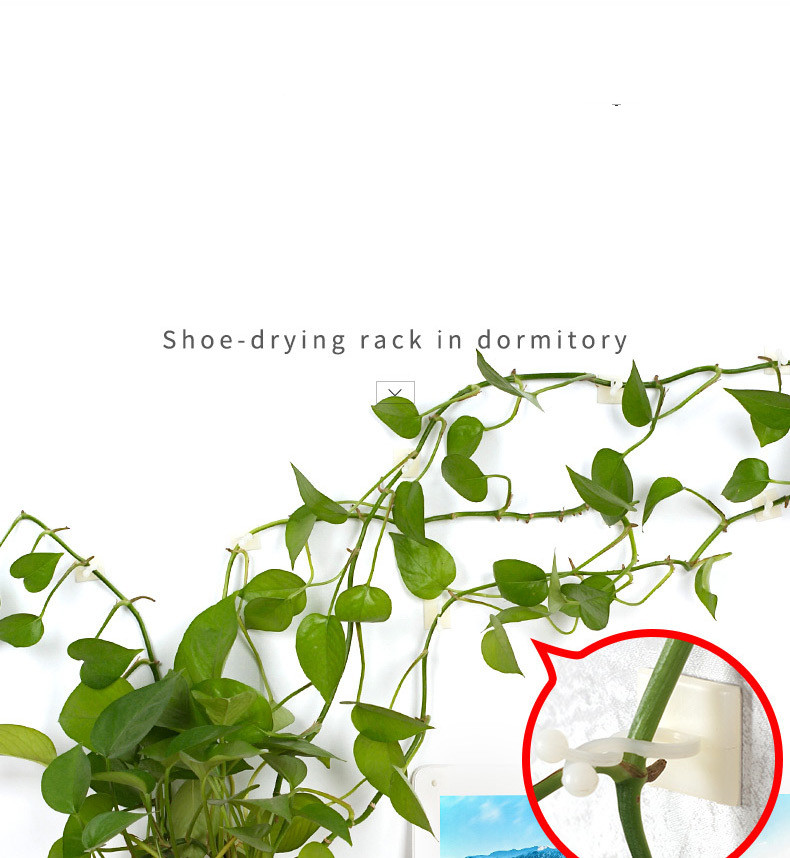 Climbing Wall Fastening Clips - Practical Plant Holders for Wall Decoration