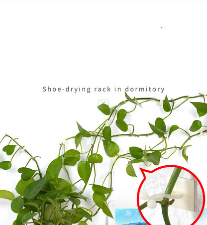 Climbing Wall Fastening Clips - Practical Plant Holders for Wall Decoration