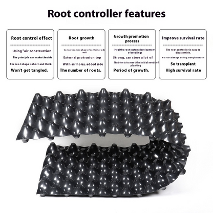Root Control Device for Plants and Landscaping to Promote Healthy Growth