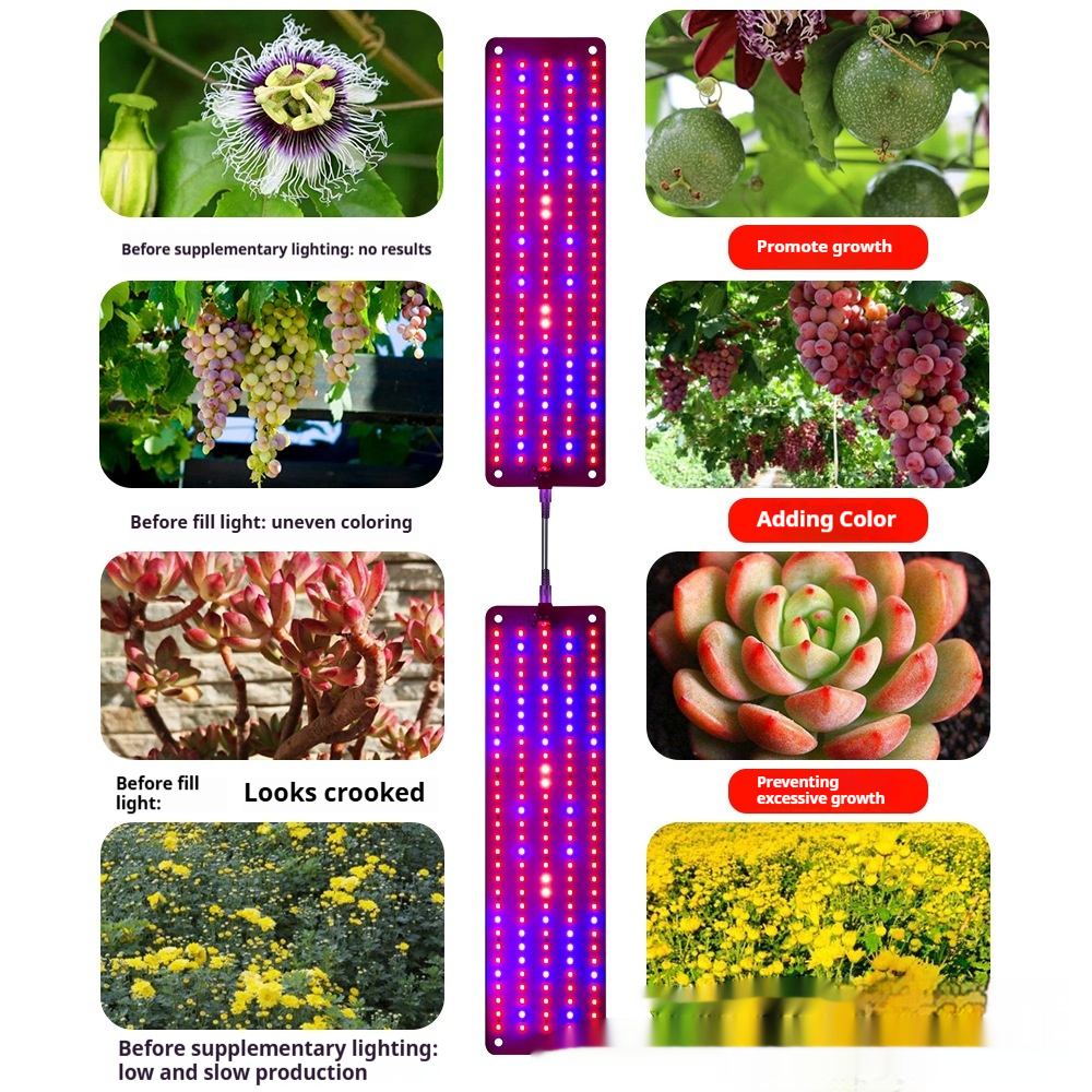 Led Quantum Plant Light Panel For Growth And Colour Promotion - With Adjustable Light Mode