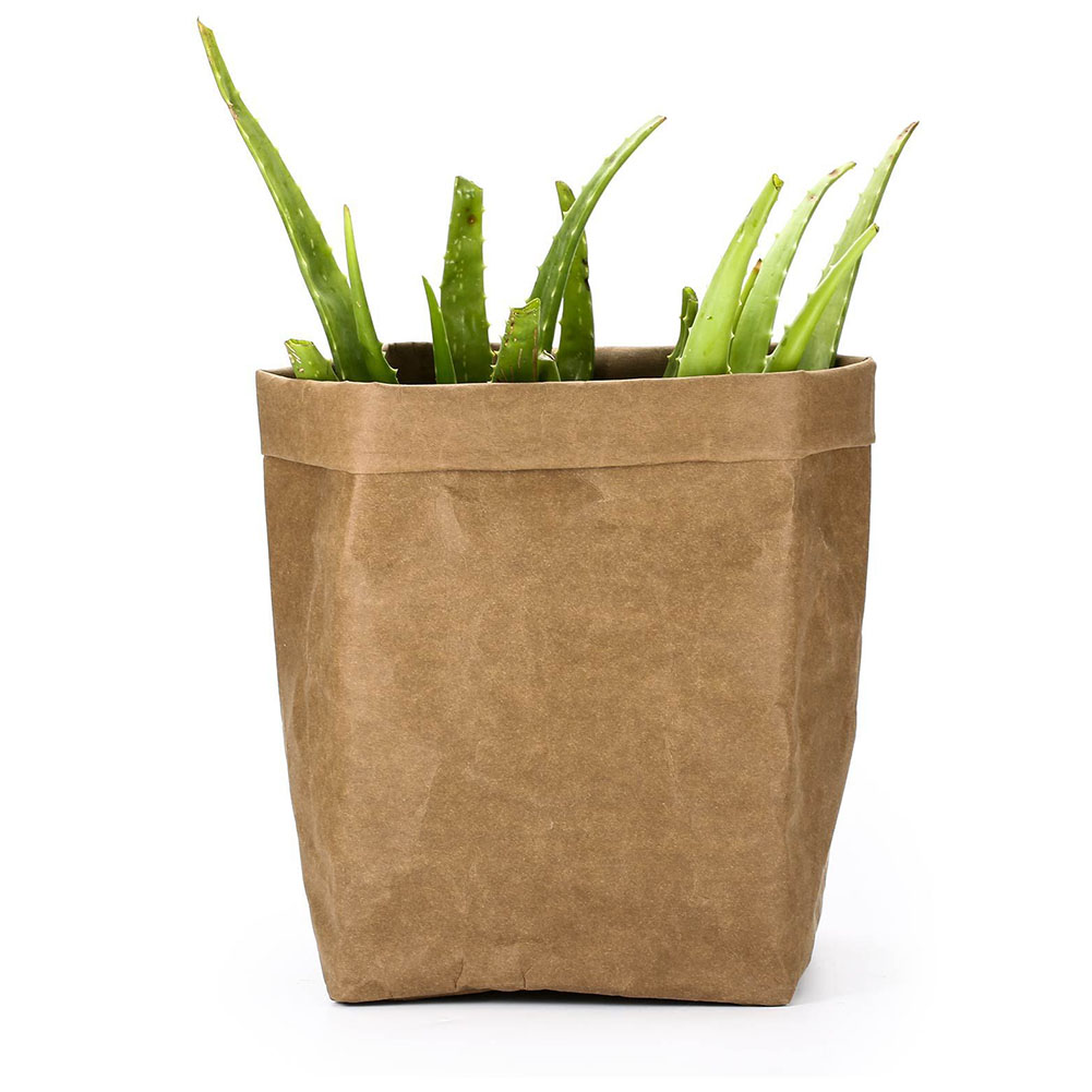 Stylish Paper Planters for Modern Decoration