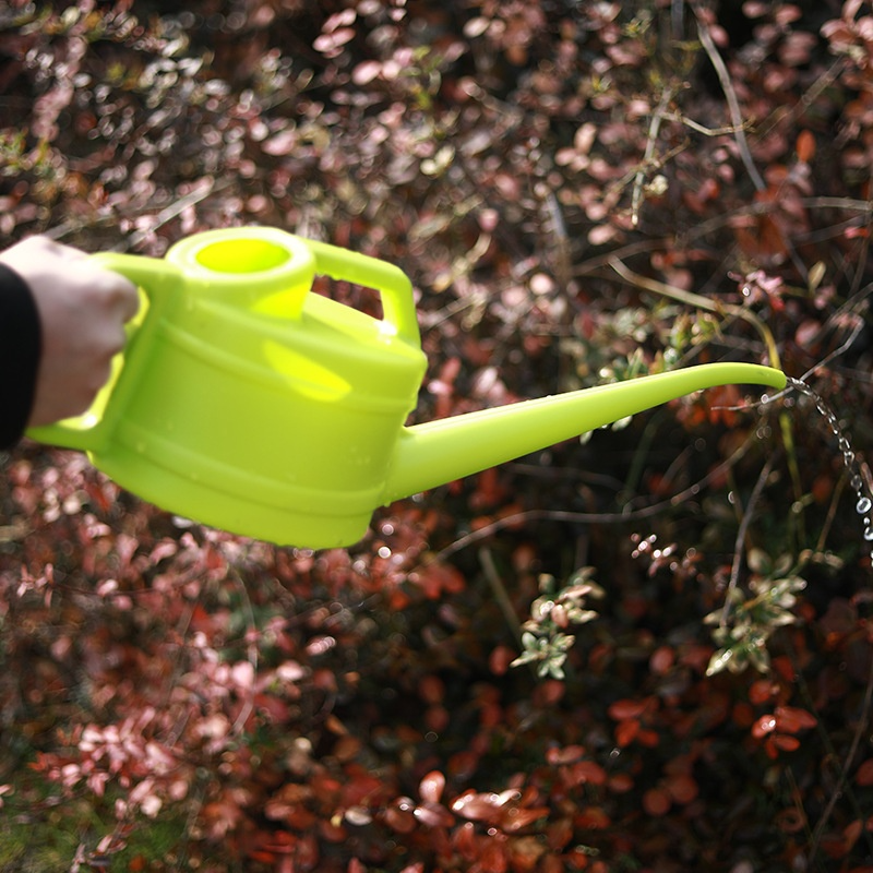 Watering Can with Long Spout for Precise and Easy Watering
