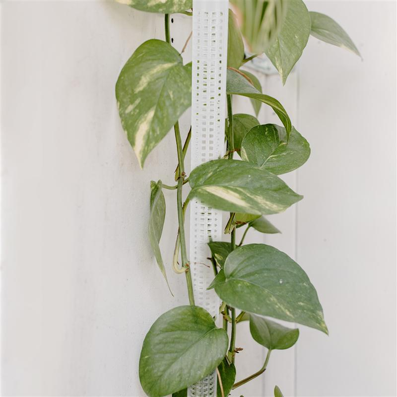Pillars for Climbing Plants and Green Plants - Support Pillars for Vertical Plant Cultivation