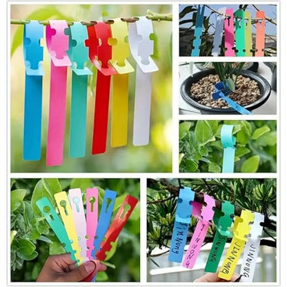 Reusable Plastic Plant Labels for Garden and Tree Marking