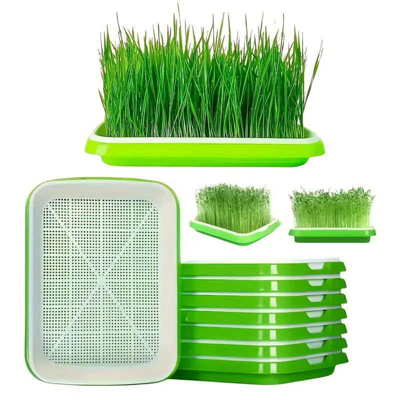 Germination Trays with Lid - Double - Layer Seed Tray for Effective Seed Germination