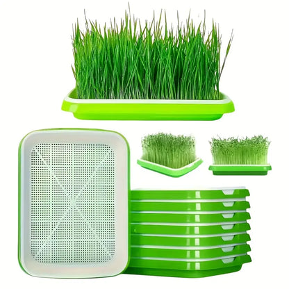 Germination Trays with Lid - Double - Layer Seed Tray for Effective Seed Germination