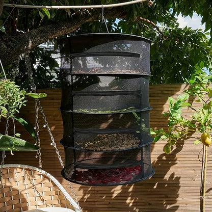 Foldable Drying Basket For Fruit  Vegetables And Herbs - Multi - Level Mesh Shelf For Quick Drying Process