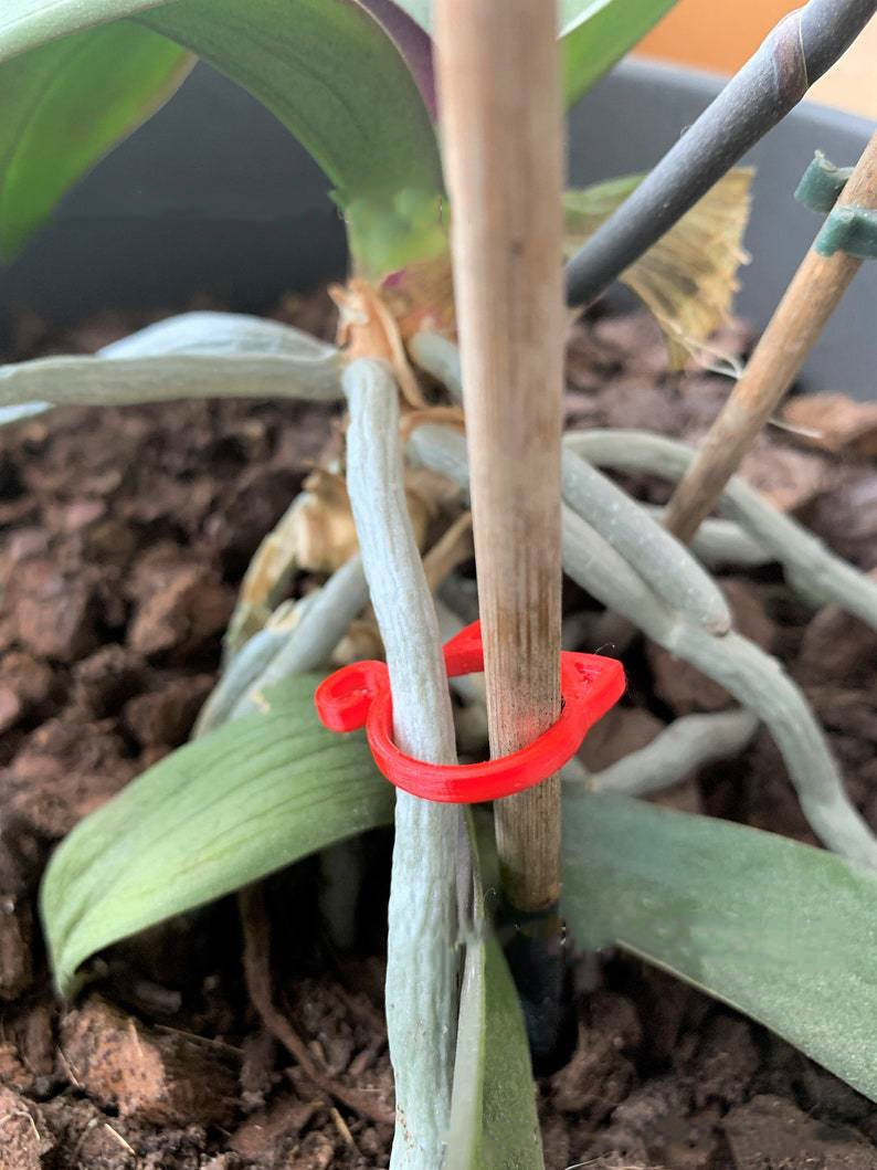 Cat - Shaped Plant Clip - Cute Plant Support for Garden and Houseplants