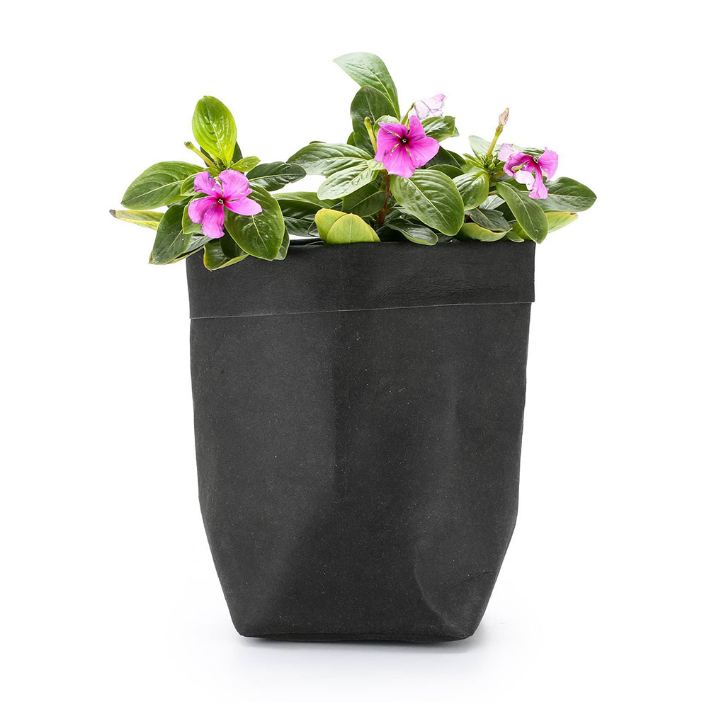 Stylish Paper Planters for Modern Decoration