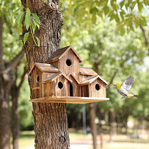6-Hole Handcrafted Birdhouse