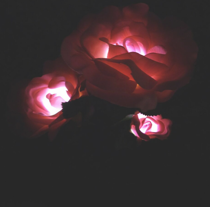 Solar - Powered Rose Lights - Garden Plug with Solar Panel for Decorative Lighting