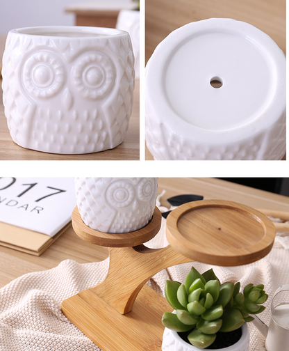 Decorative Wooden Plant Stand - Plant Pots in Owl Design for Succulents and Houseplants