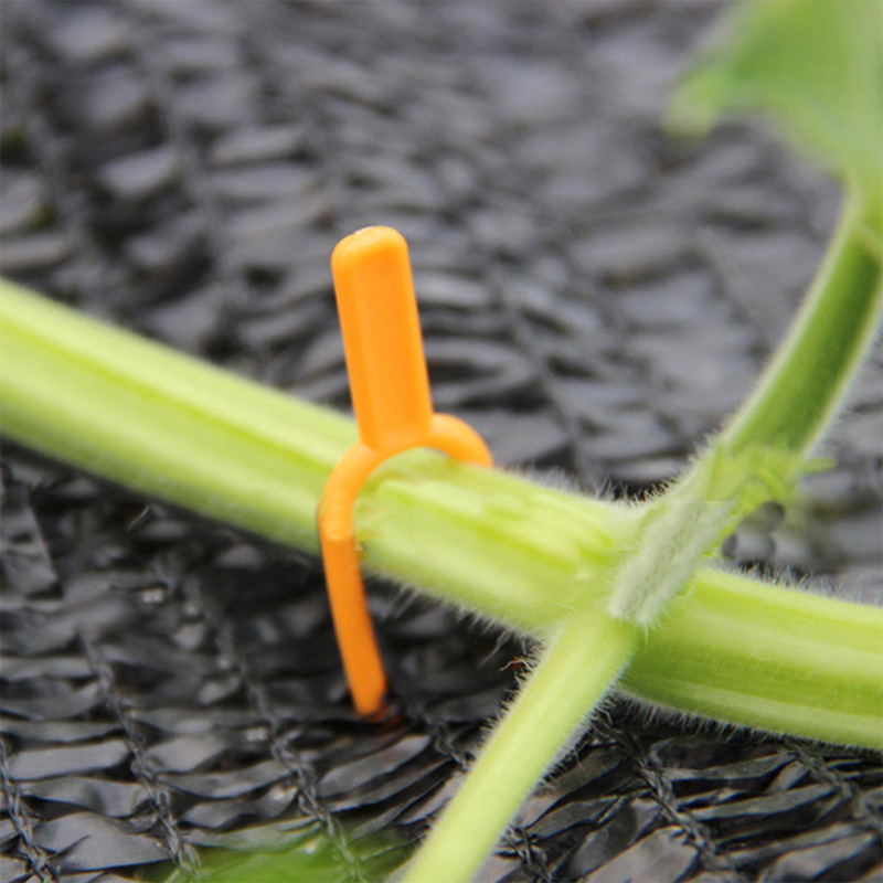 Plastic Garden Plant Support Clamps for Optimum Plant Stability