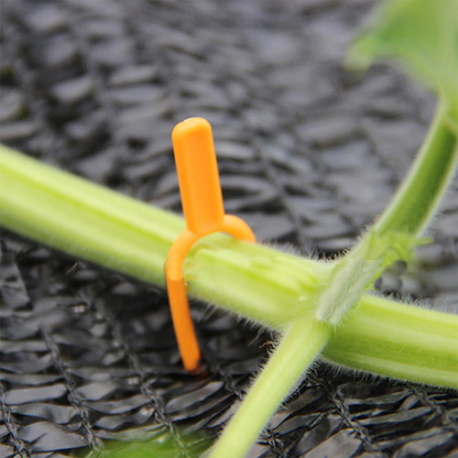 Plastic Garden Plant Support Clamps for Optimum Plant Stability