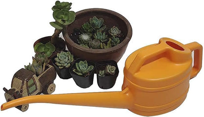 Watering Can with Long Spout for Precise and Easy Watering